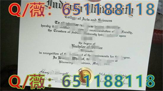 南澳大学毕业证图片|南澳大学文凭样本