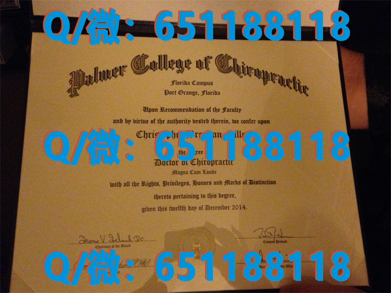 圣泽维尔大学(芝加哥)Saint Xavier University (Chicago) (2)（毕业证、文凭、成绩单、留信网入网）