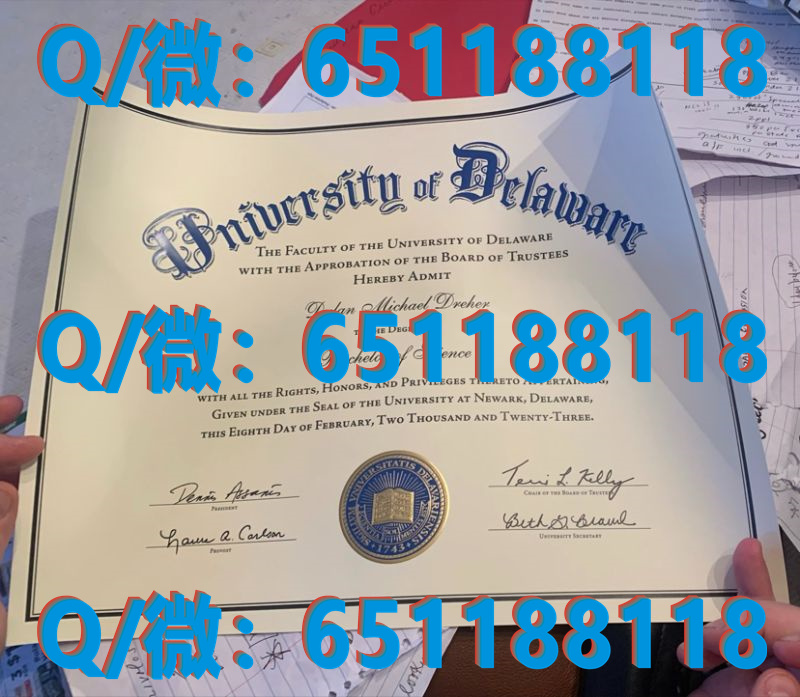 网文大学毕业证_成人高考文凭毕业档案_密利克大学(迪凯特)Millikin University (Decatur)（毕业证、文凭、成绩单、留信网入网）