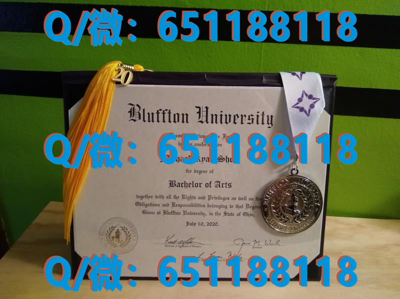 斯克兰顿大学（斯克兰顿）The University of Scranton (Scranton) (2)（毕业证、文凭、成绩单、留信网入网）