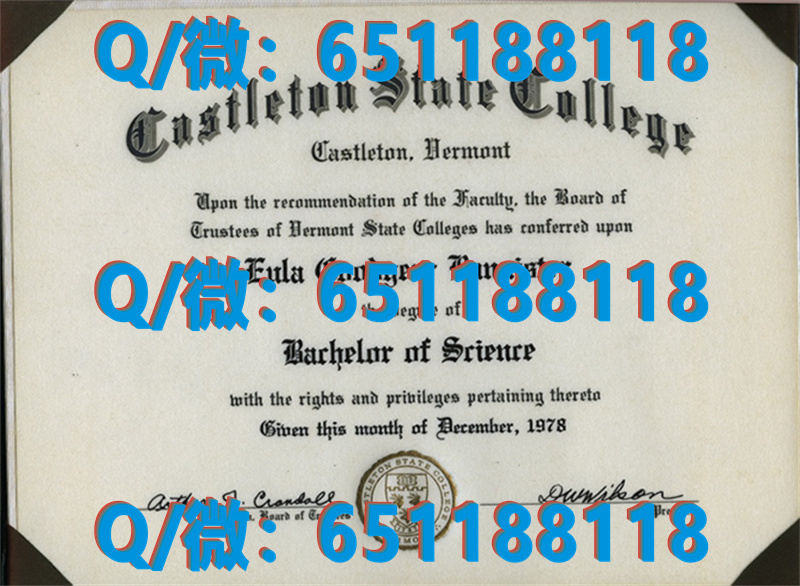 纽约健康职业学院_康科迪亚学院（纽约）Concordia College (New York)（毕业证、文凭、成绩单、留信网入网）_纽约大学毕业证样本