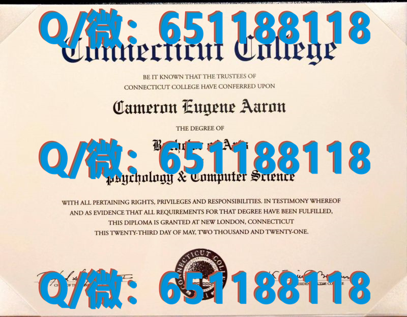 德克萨斯大学泛美分校(爱丁堡)The University of Texas - Pan American (Edinburg)（毕业证、文凭、成绩单、留信网入网）_毕业证明信网能查是什么意思_毕业证校内网可查什么意思