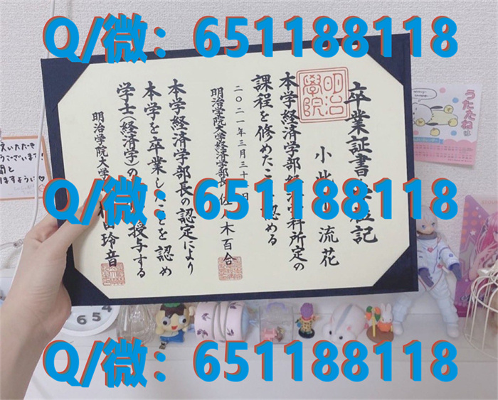 日本毕业证模板_日本毕业证书认证_东京大学毕业证文凭样本THE UNIVERSITY OF TOKYO（制作毕业证、文凭、成绩单、认证入网、offer）