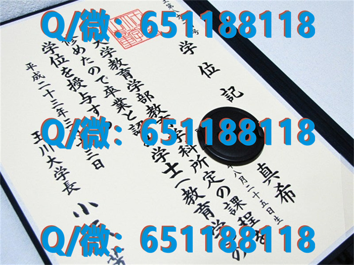 日本毕业证模板_东京工业大学毕业证文凭样本TOKYO INSTITUTE OF TECHNOLOGY（制作毕业证、文凭、成绩单、认证入网、offer）_东京大学毕业证