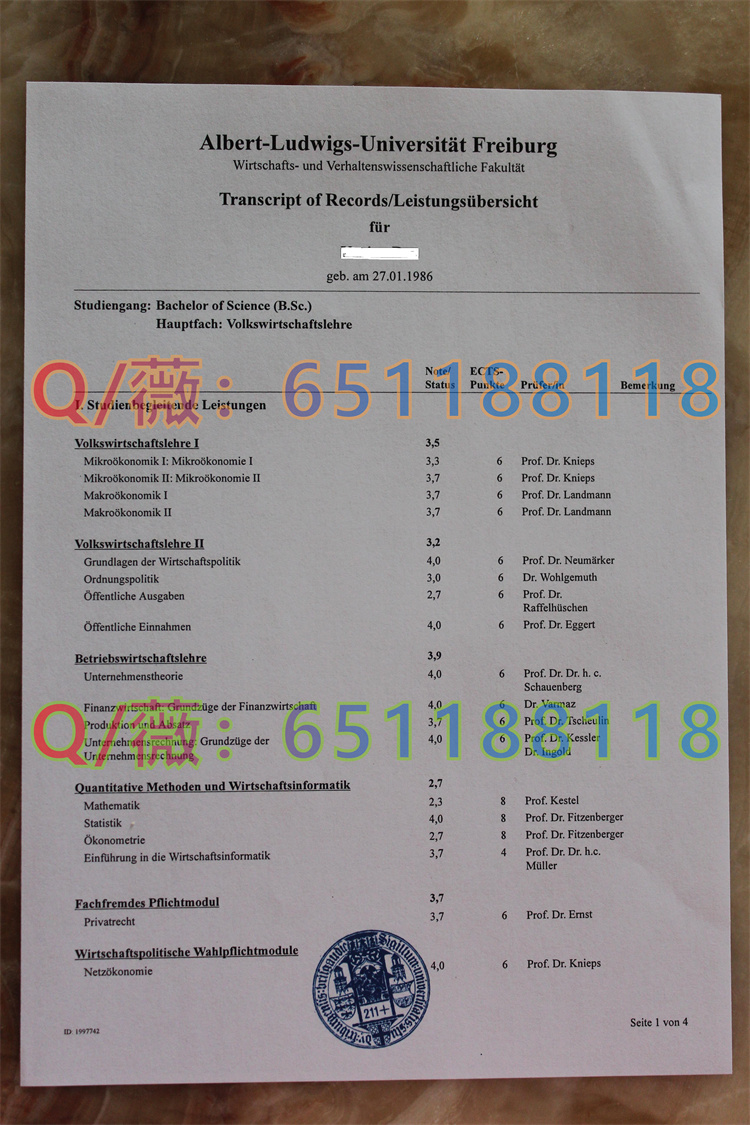 德国弗赖堡大学成绩单1.jpg