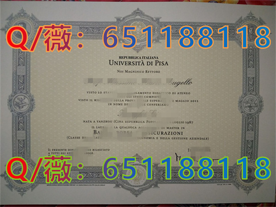 比萨大学毕业证样本|University of Pisa diploma|定制意大利大学文凭